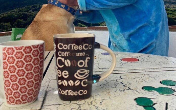 245492465_6206115346128849_1361159369425444878_n