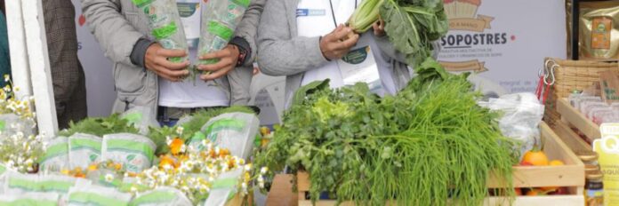 WhatsApp Image 2021-12-16 at 11.26.23 AM