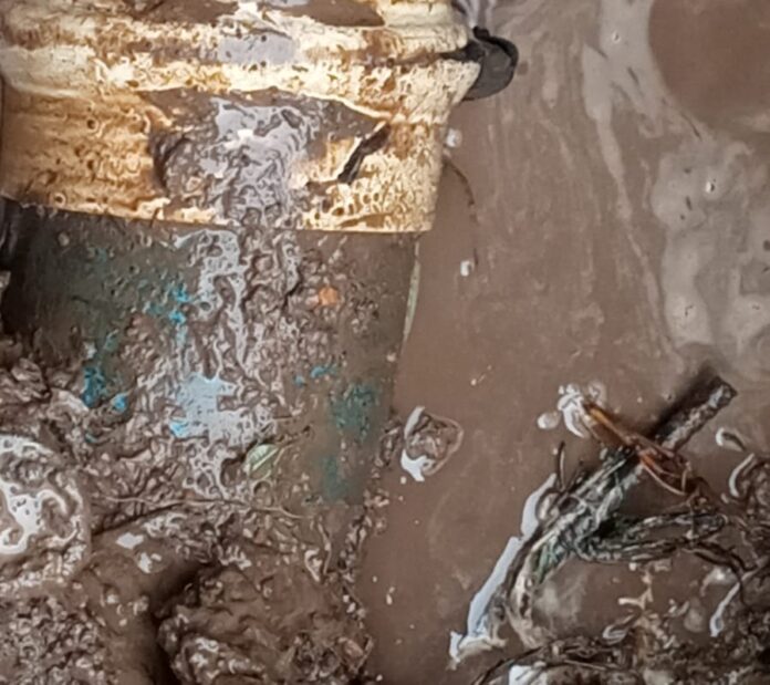 277573180_5149811925080573_4293339455411075706_n