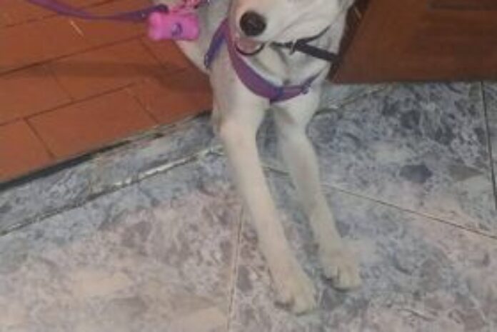 287216449_5643517392348674_895589557666391273_n