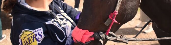 WhatsApp Image 2022-06-08 at 8.22.21 PM