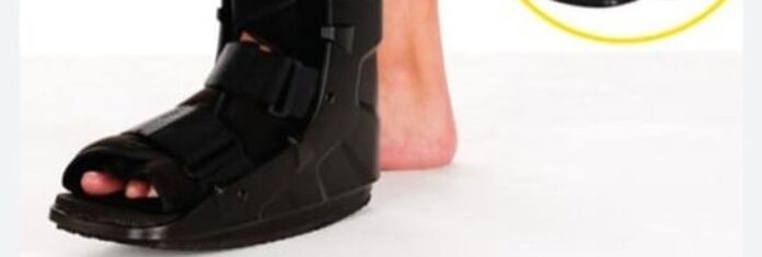 WhatsApp Image 2023-05-17 at 2.40.55 PM