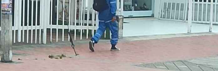 junio 9 cruz roja ladron