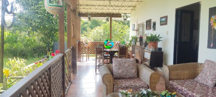 WhatsApp Image 2025-03-26 at 18.59.55